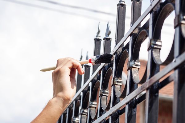 Property Fence Painting