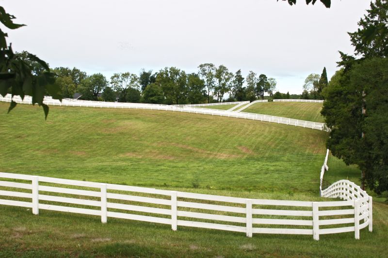 Livestock Fence Painting